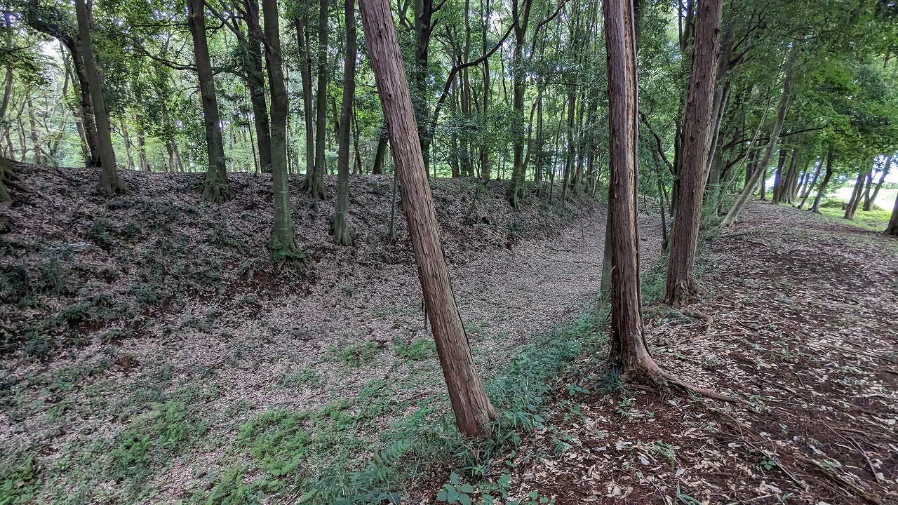 飛山城跡 の写真