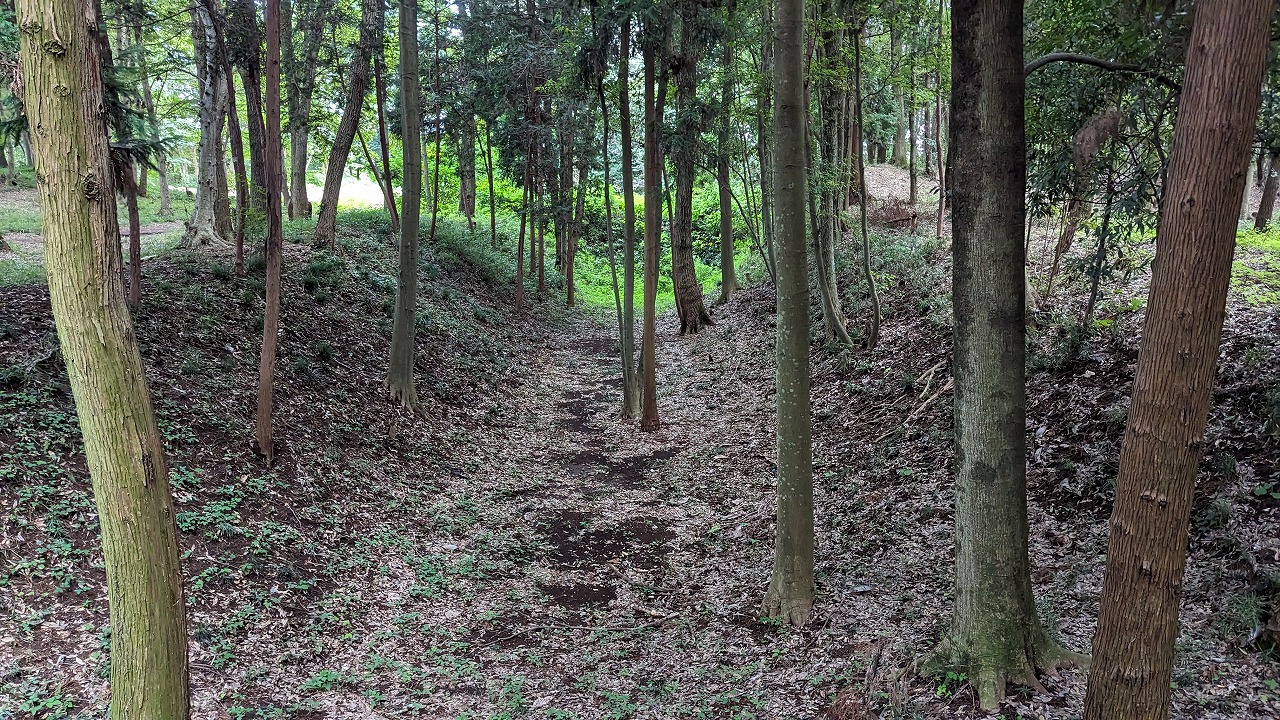 飛山城跡 の写真