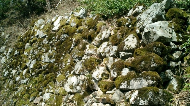 小谷城跡 の写真