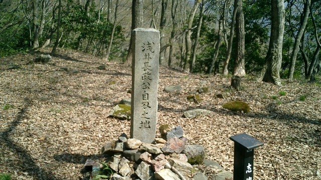 小谷城跡 の写真