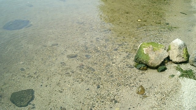 坂本城址公園 の写真