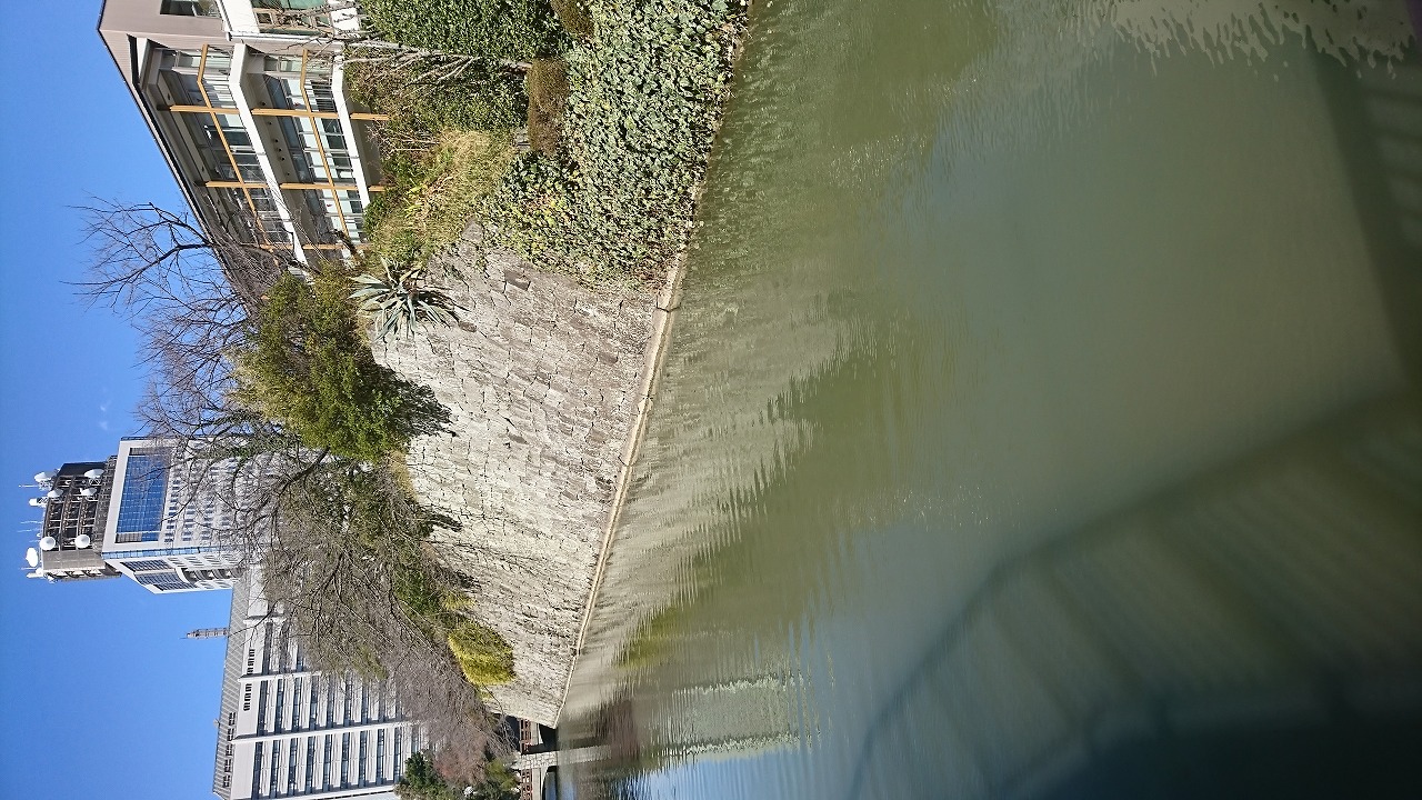 駿府城（駿府城公園） の写真