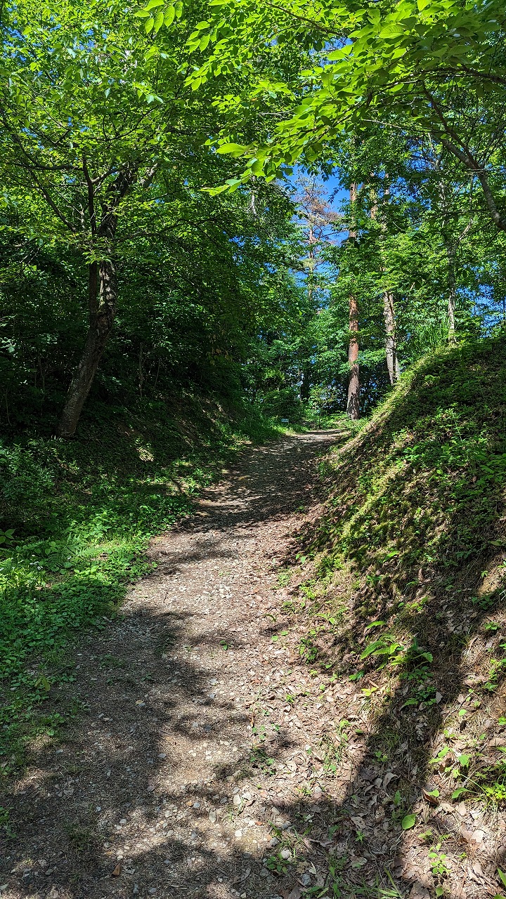 向羽黒山城跡 の写真