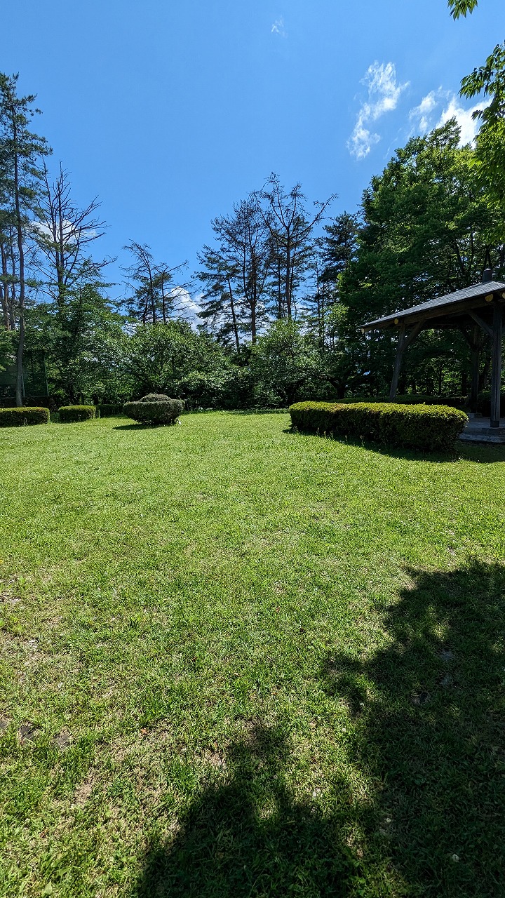 向羽黒山城跡 の写真