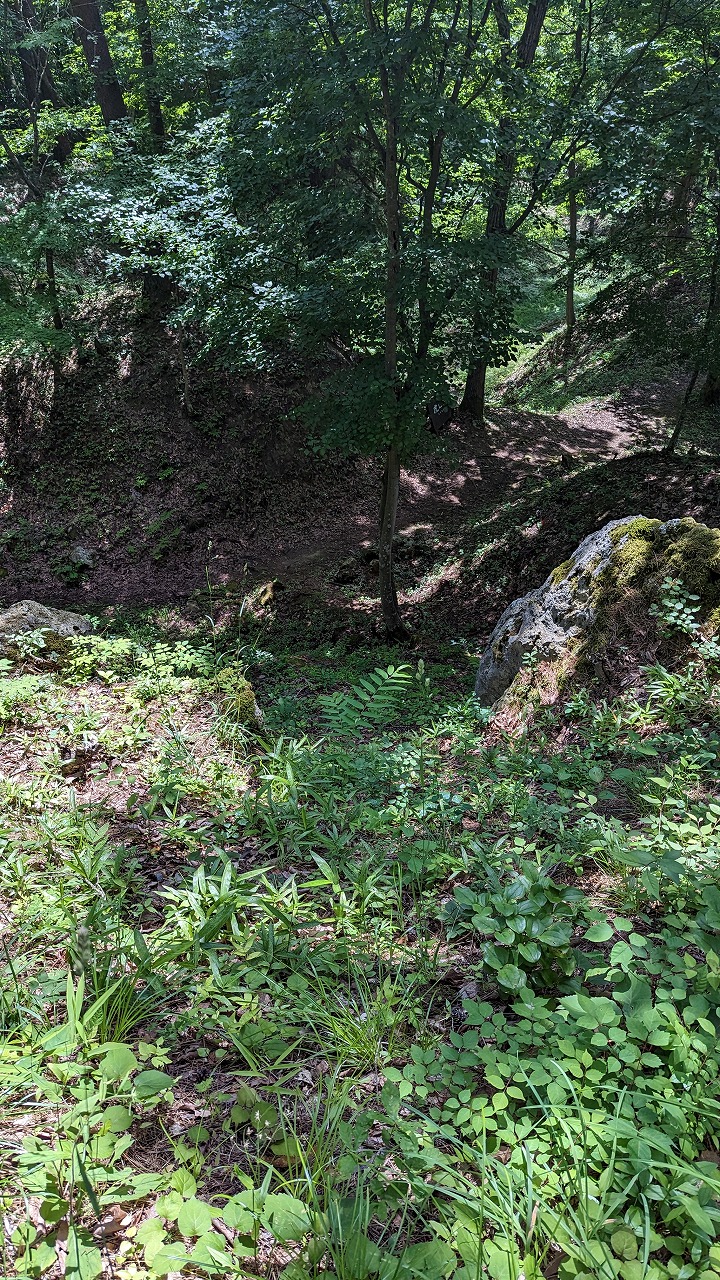 向羽黒山城跡 の写真