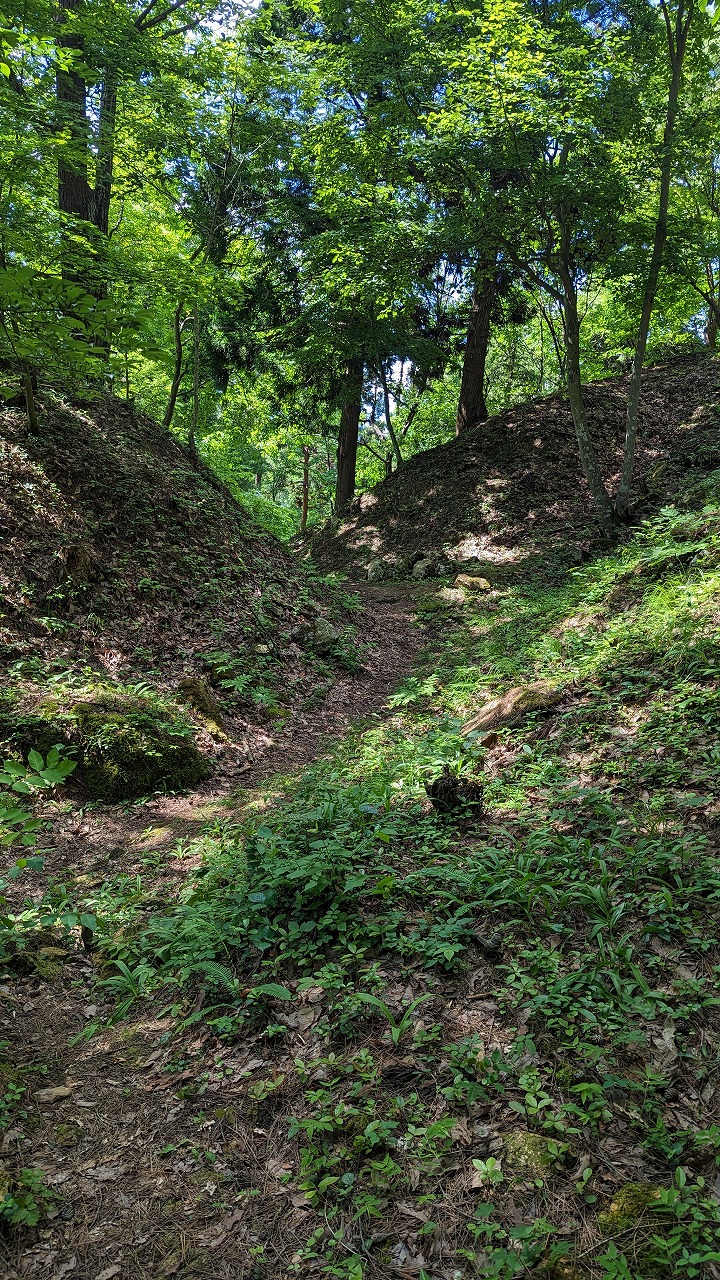 向羽黒山城跡 の写真