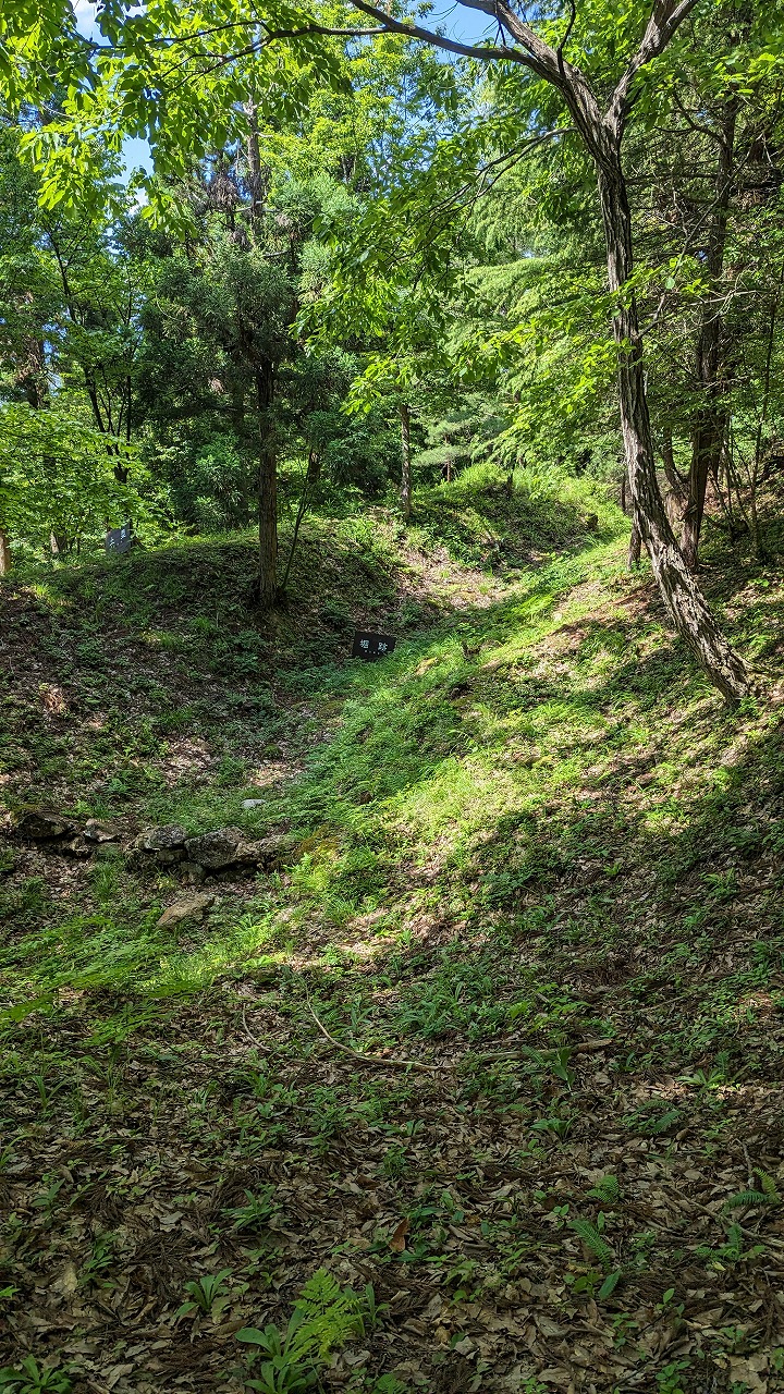 向羽黒山城跡 の写真