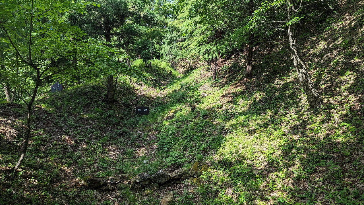 向羽黒山城跡 の写真