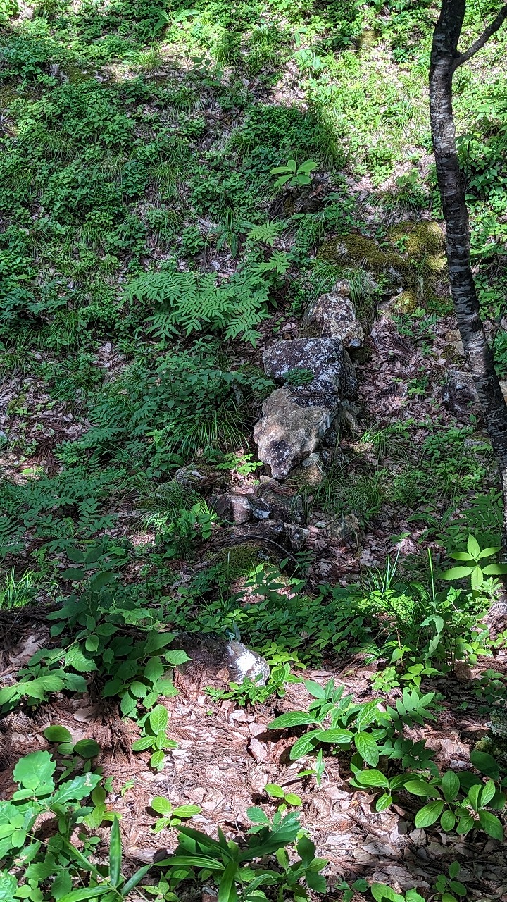 向羽黒山城跡 の写真