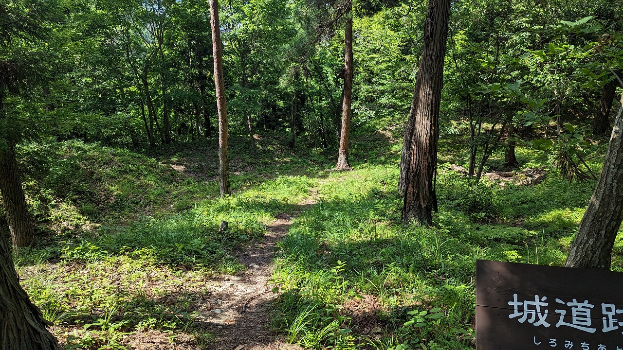 向羽黒山城跡 の写真