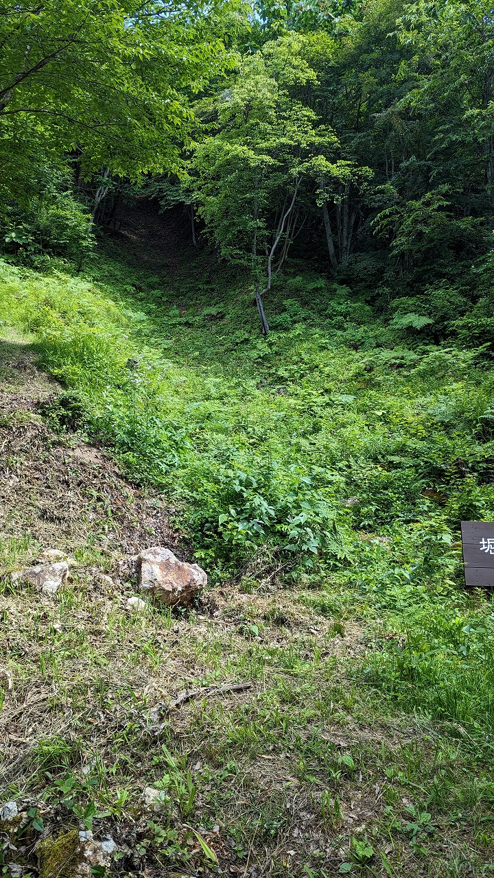向羽黒山城跡 の写真