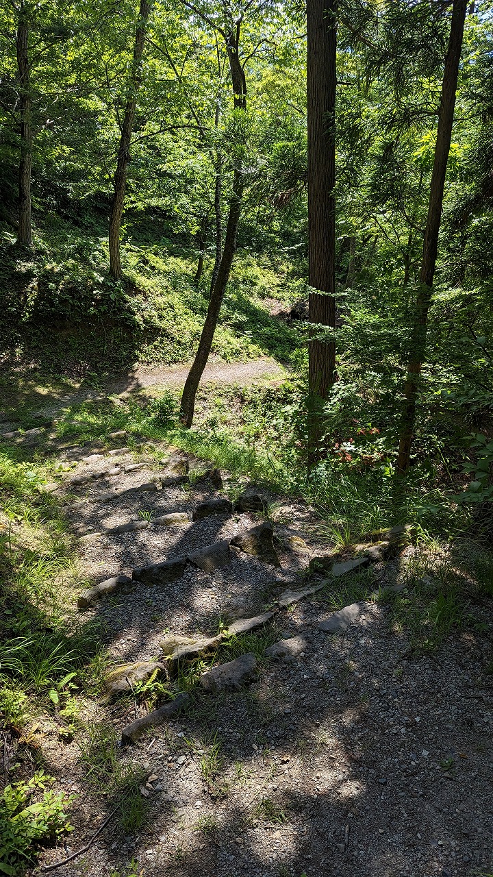 向羽黒山城跡 の写真