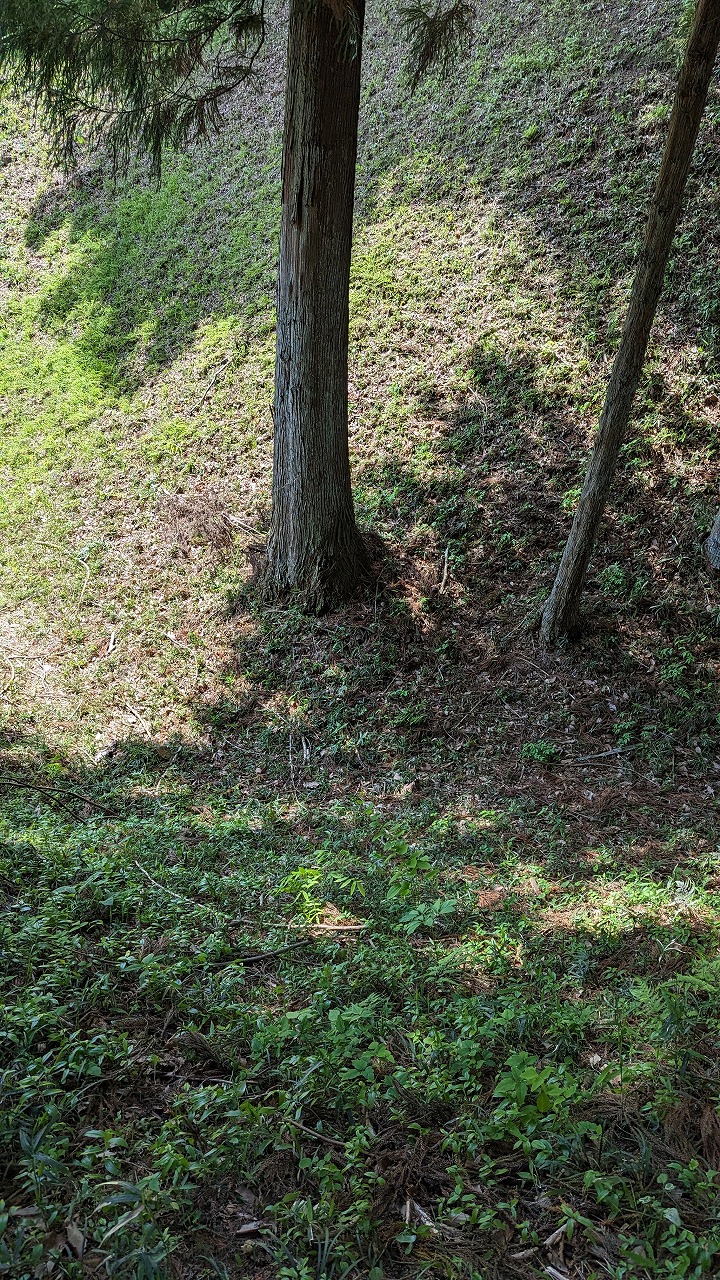 岩櫃城跡 の写真