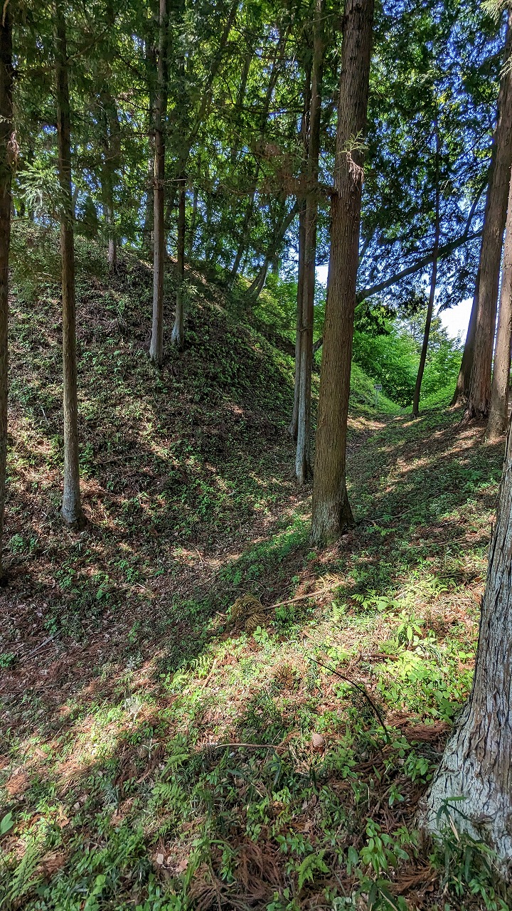 岩櫃城跡 の写真