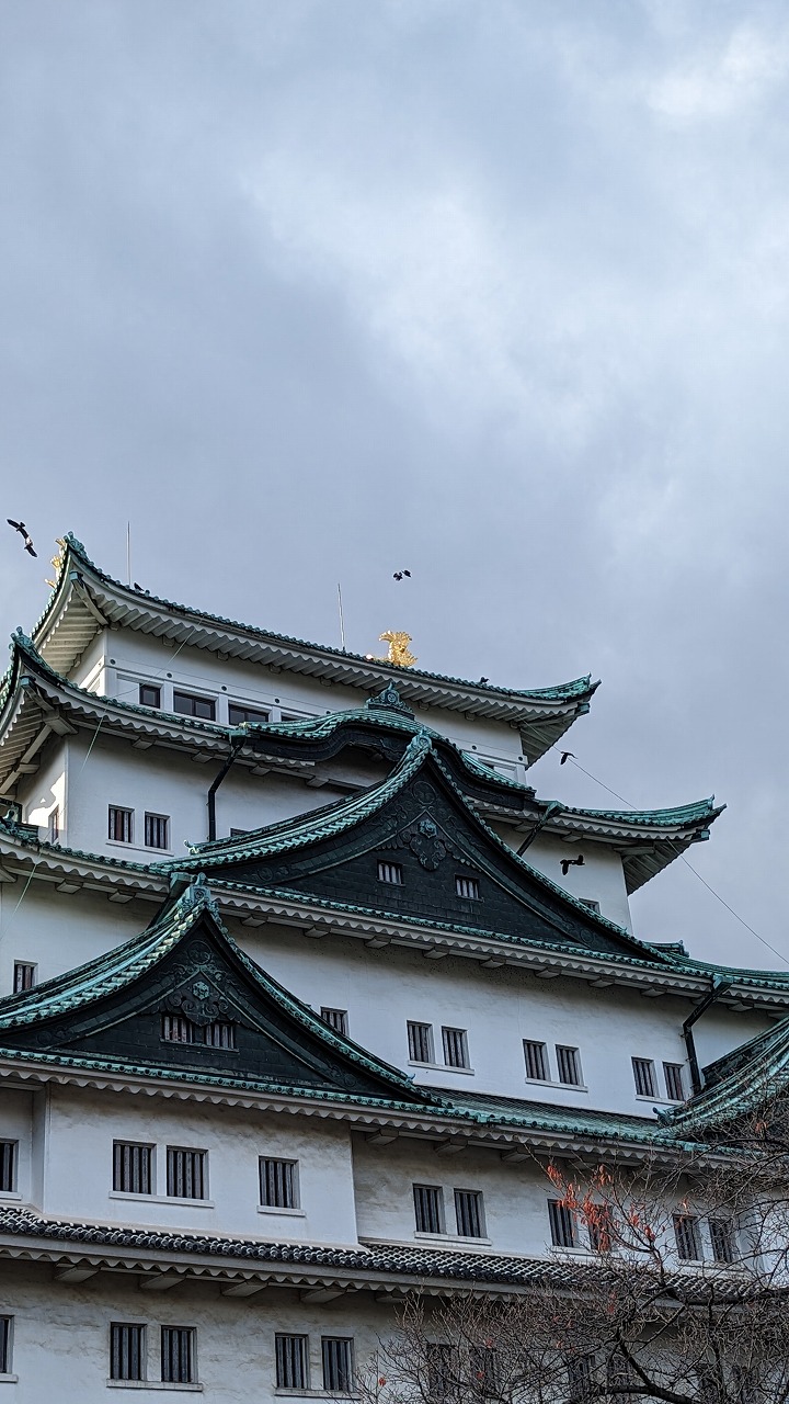 名古屋城 の写真