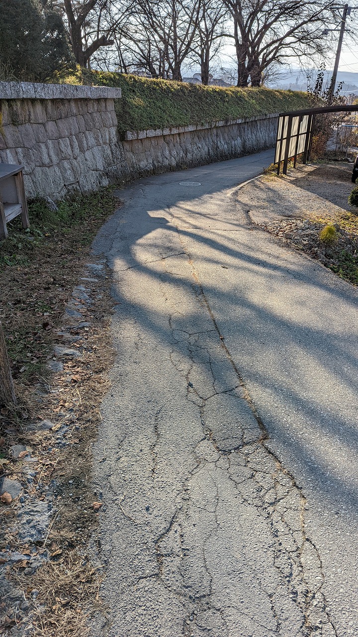 龍岡城跡（五稜郭） の写真