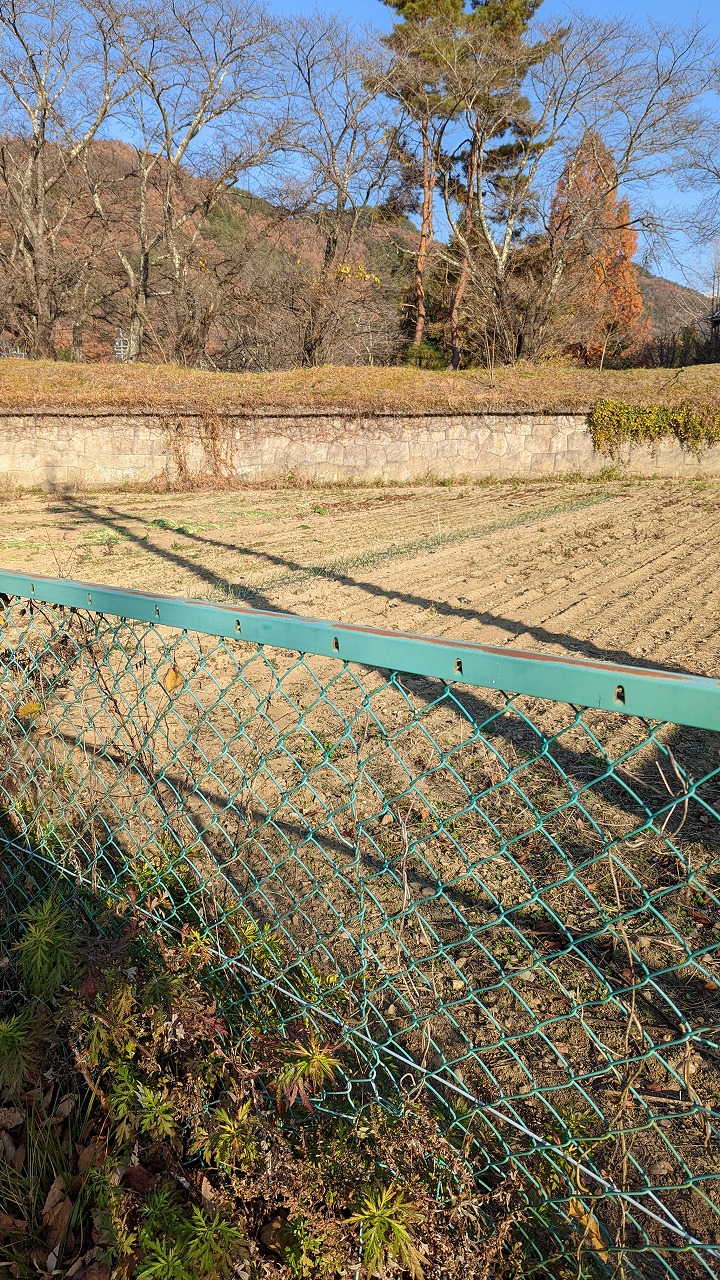 龍岡城跡（五稜郭） の写真