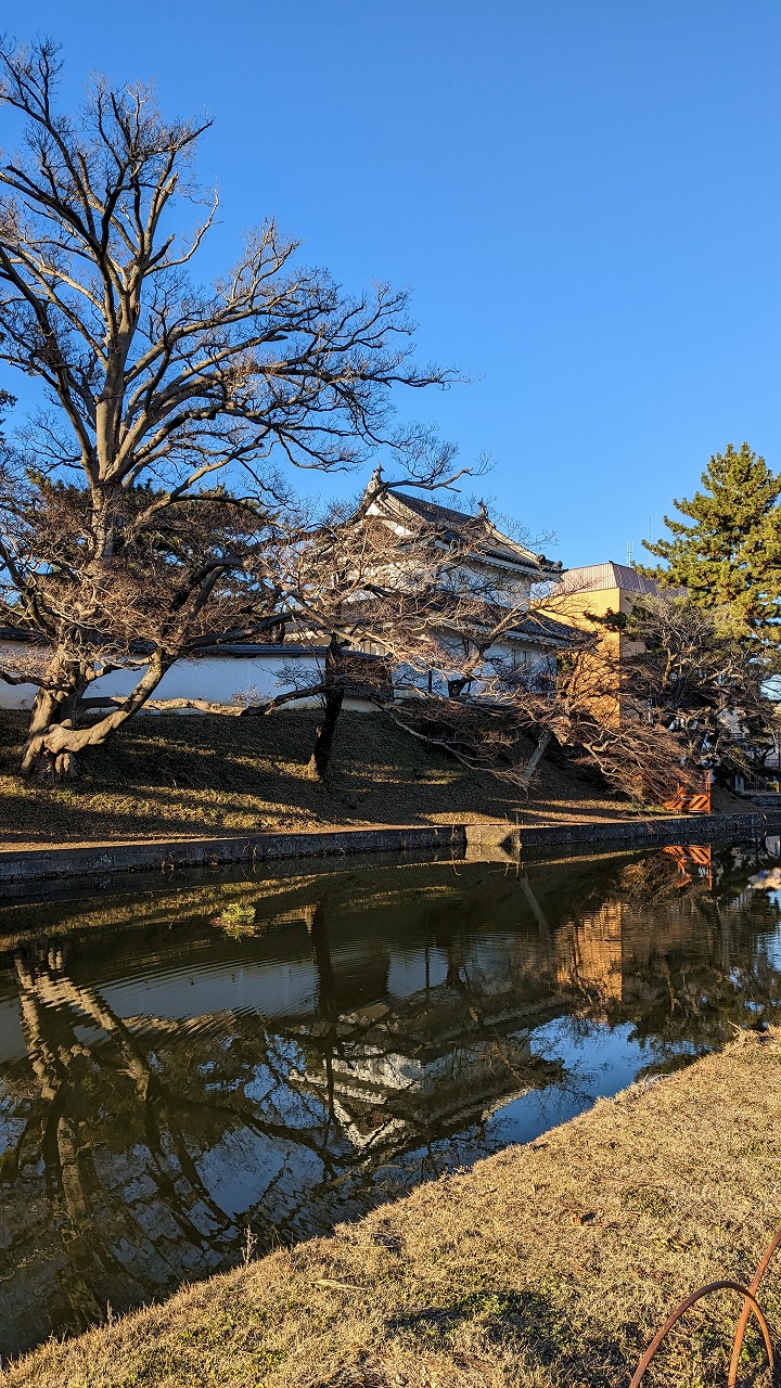 土浦城跡（亀城公園） の写真