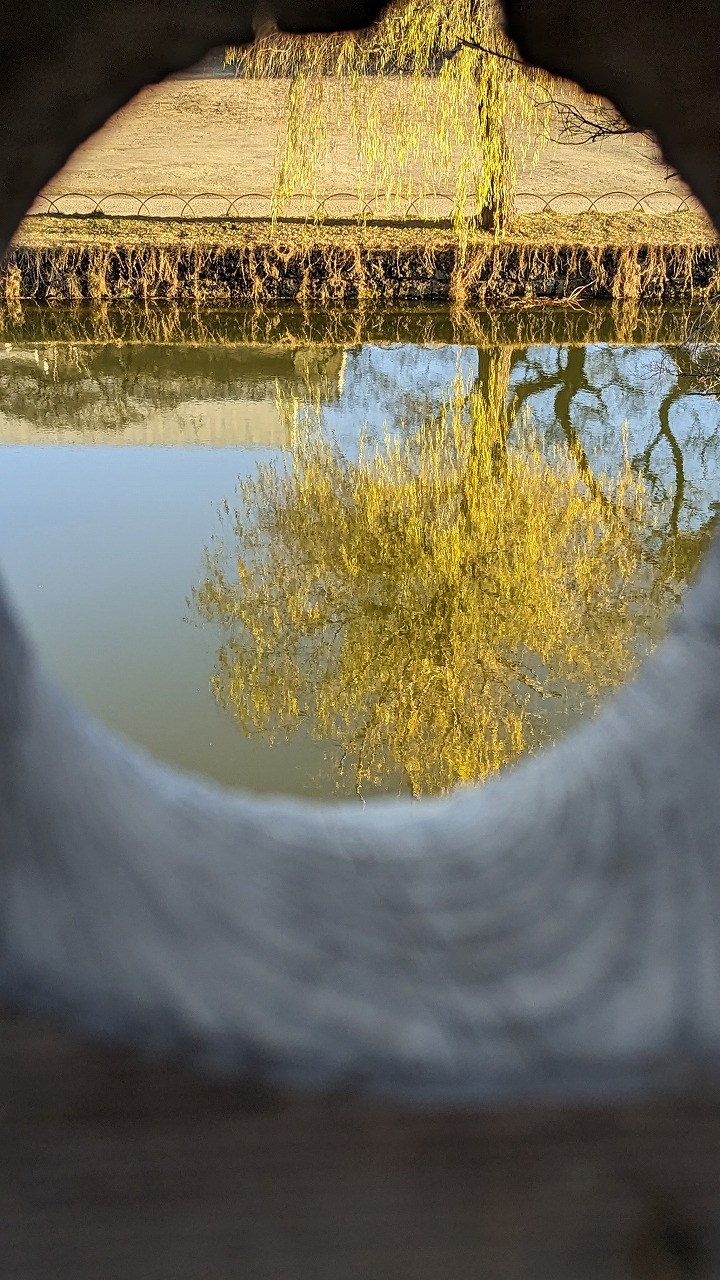 土浦城跡（亀城公園） の写真