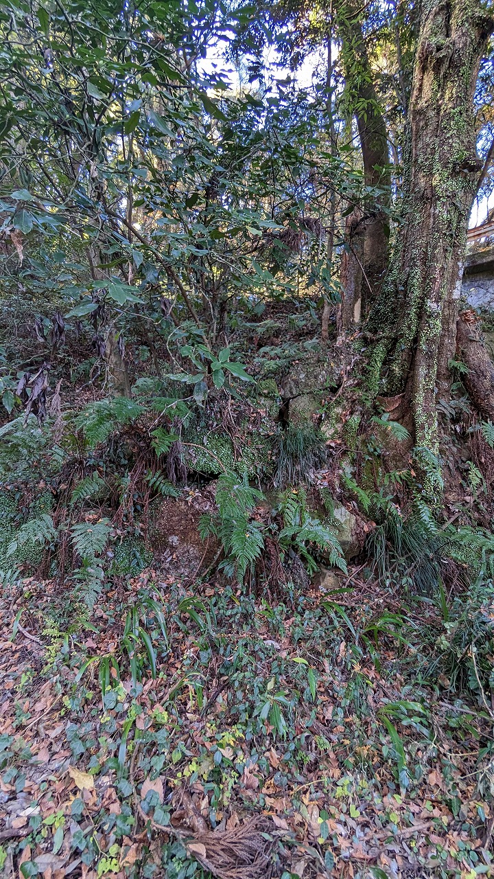 笠間城跡 の写真