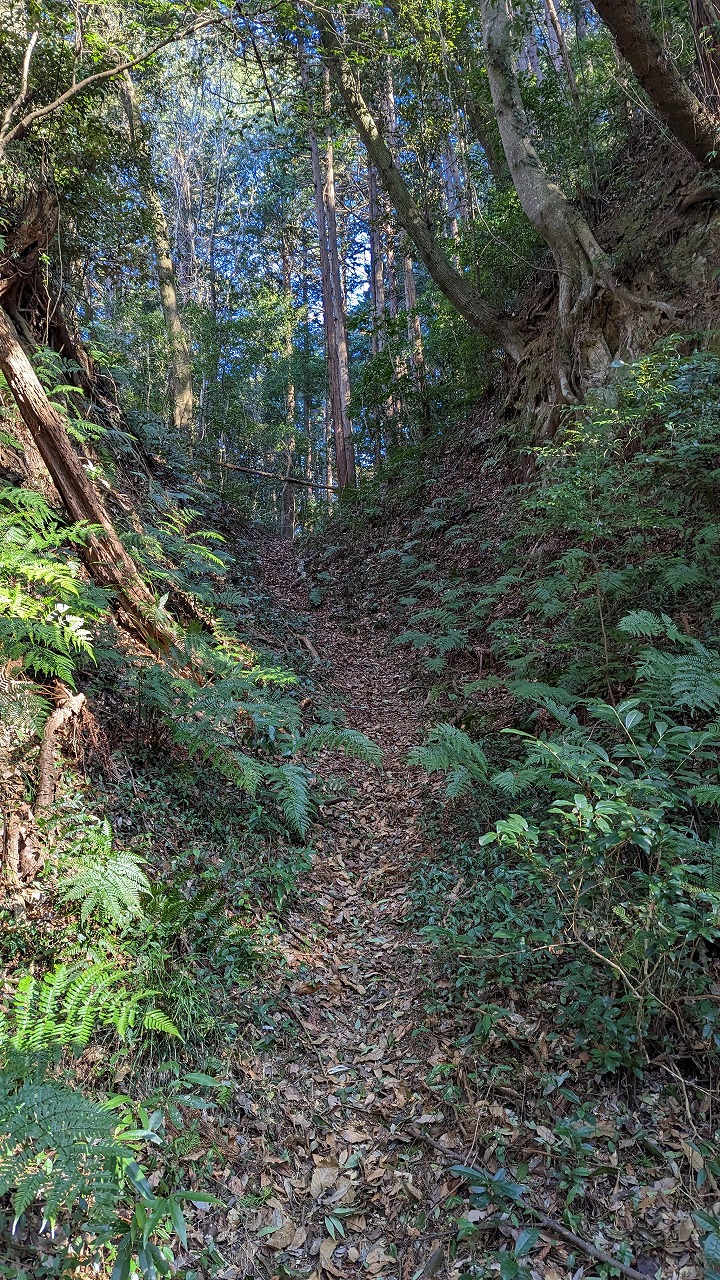 笠間城跡 の写真